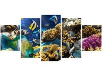 70CM 150CM ZEGAR 5 ELEM RAFA KORALOWA DRUK OBRAZ