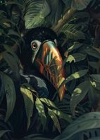 Plakat 64x90cm Skryty Tukan