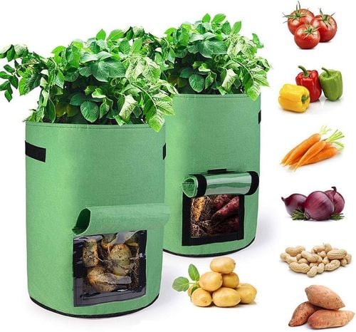 Worki Do Uprawy Roślin 2Szt. Zielone na Arena.pl