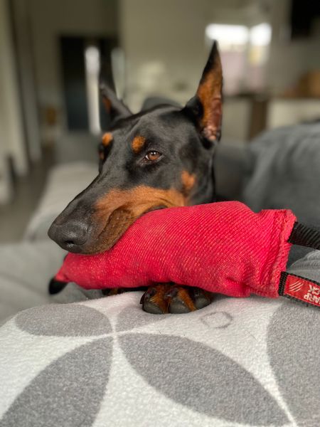 Szarpak MAMMY PACK Sharpack czerwony zdjęcie 2