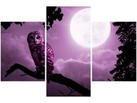 90X60CM OBRAZ NOCNY PEJZAŻ SOWĄ TRZY OBRAZY