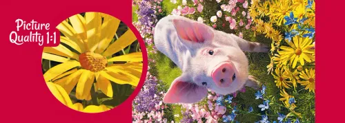 Puzzle 500 elementów. Kochasz mnie? 20197 na Arena.pl