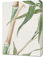Obraz 50x70cm Bamboo, Morikaga Japoński Vintage do Salonu