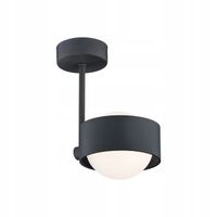 Lampa sufitowa plafon czarny do salonu sypialni pokoju - MASSIMO PLUS 1 XX