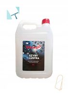 Villa płyn mycie szyb i luster 5l