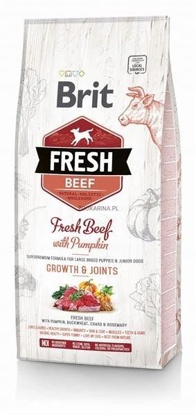 BRIT FRESH BEEF PUPPY LARGE 12KG zdjęcie 1