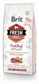 BRIT FRESH BEEF PUPPY LARGE 12KG