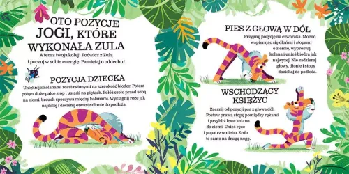 Czas na jogę. Zula i sprytna mucha na Arena.pl