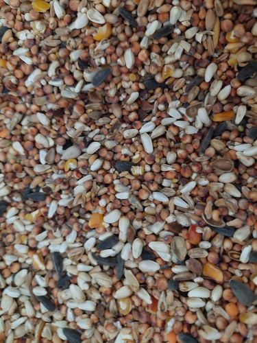 Kampol O-MIX DROBNY karma dla Papug, Dzikich Ptaków 25kg na Arena.pl