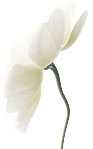 ERIS CLINIC WAY ZESTAW DERMOKAPSUŁKI + ANTI-POLLUTION + KREM BB na Arena.pl