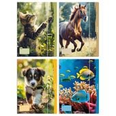 teczka rys.a4 z gum.animals  300023013 a'10