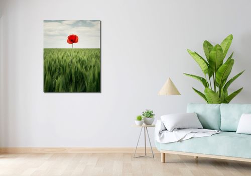 Obraz 70x90cm Samotny Mak na Polu na Arena.pl