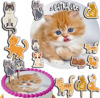 product-compare-58013684