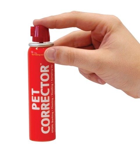 Pet Corrector 50ml na Arena.pl