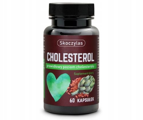 Cholesterol - SKOCZYLAS na Arena.pl