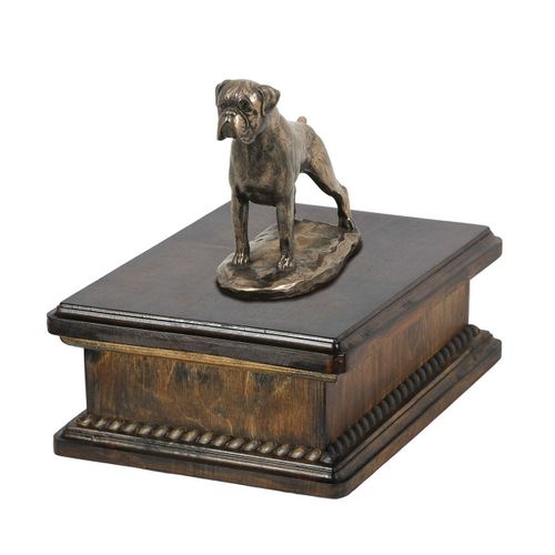 Bokser uncropped- eksluzywna urna na Arena.pl