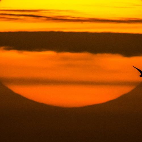 Deco Panel, Zachód słońca 60x40 na Arena.pl