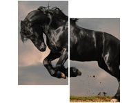 60X60CM OGIER FRYZYJSKI DWU OBRAZ ŚCIAN