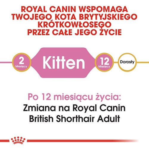 Karma dla kociąt, kotek w ciąży i karmiących Royal Canin KOT BRYTYJSKI 400g na Arena.pl