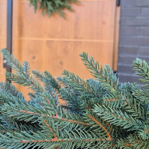 Girlanda ŚWIERK 3 metry 100% PE 300 cm DŁUGA gęsta jak naturalna balustrada na Arena.pl