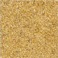 Złote siemię lniane 500g