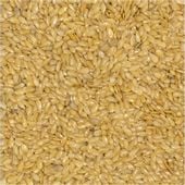 Złote siemię lniane 500g