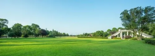 TRAWA MIESZANKA TRAWY z mikrokoniczyną koniczyna 2kg TRAWNIK SAMONAWOŻĄCY na Arena.pl