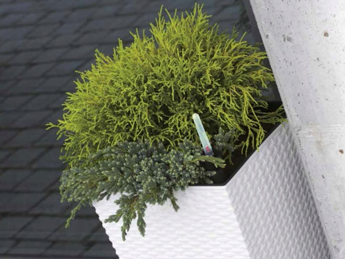 3x Doniczka DRTS225L DRTS265L DRTS325L + wkład na Arena.pl