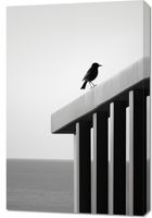 product-compare-59476582