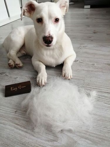 EzzyGroom sierść MIĘKKA / TWARDA dla psa kota UNIWERSALNE zgrzebło na Arena.pl