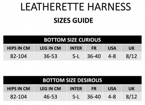 leatherette harness curious na Arena.pl
