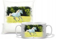 product-compare-62180856