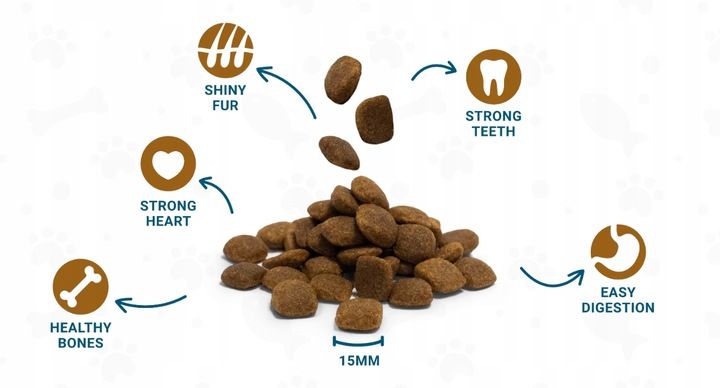 DIVINUS Performance karma sucha dla psa owczarek labrador witaminy 20kg zdjęcie 4