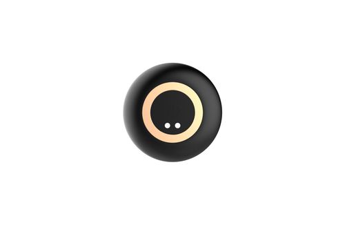 Stymulator - Striking prostate massager - USB 10 Functions / Remote Control na Arena.pl