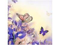 50X50CM MOTYLKI OBRAZ