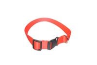 A-006 OBROŻA DLA PSA TAŚMA 30mm/38-65cm Kolor - Czerwony