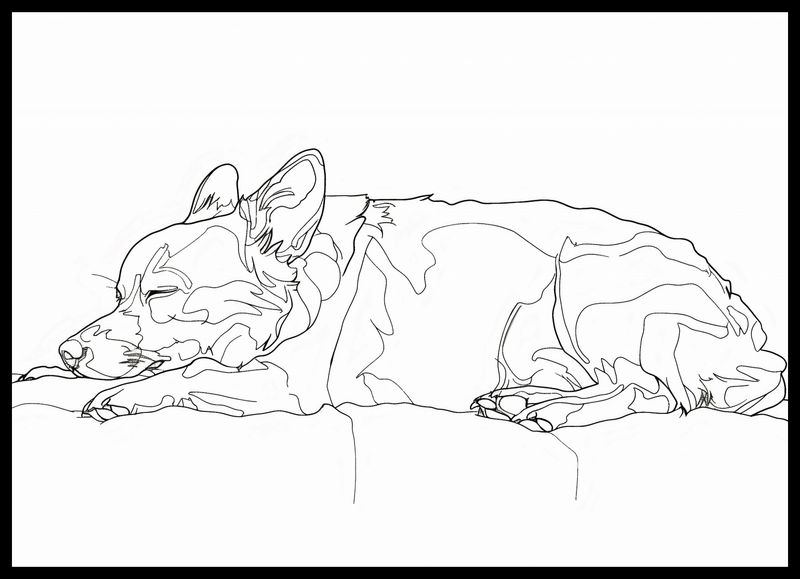 Plakat 70x50cm Śpiący Psiak zdjęcie 2