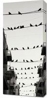 Obraz 40x90cm Miejski Motyw z Ptakami