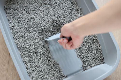 Żwirek tofu dla kotów biodegradowalny z węgielem aktywnym 2,5kg na Arena.pl