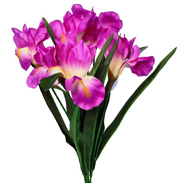 Bukiet irys biskupi zdjęcie 1