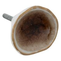 Dekoracyjne uchwyty / gałki do mebli Elaina