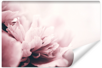 Fototapeta Ścienna KWIATY Piwonie Peonie Natura Efekt 3D 180cm x 120cm