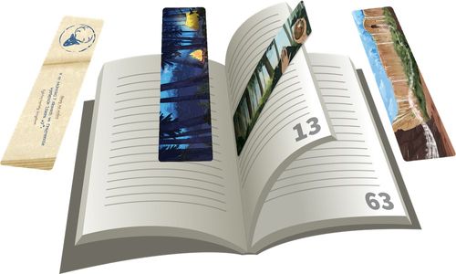 Gra Nowe Strony na Arena.pl