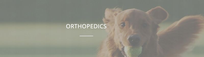 Artikrill Dol Cane 200 kaps NBF Lanes zdjęcie 3