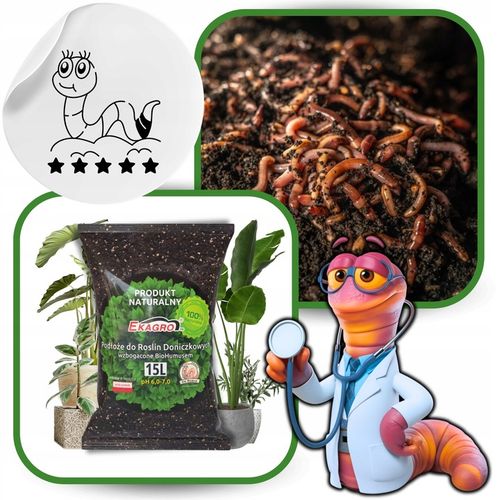 Ziemia Podłoże do Roślin 15L Doniczkowych Zielonych Kwiatów z humusem na Arena.pl