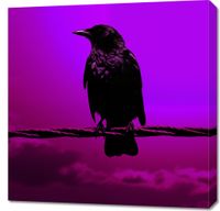 product-compare-59479980