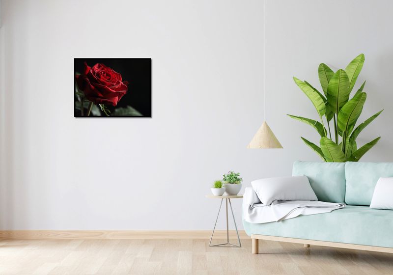 Plakat 65x50cm Róża w Półcieniu zdjęcie 4