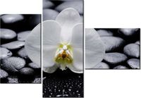 100CM 80 OBRAZ 3 ELEM BIAŁY STORCZYK ŚCIENNY