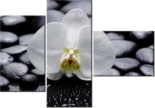 100CM 80 OBRAZ 3 ELEM BIAŁY STORCZYK ŚCIENNY na Arena.pl