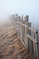 Plakat 68x101cm Mgła nad Wydmami